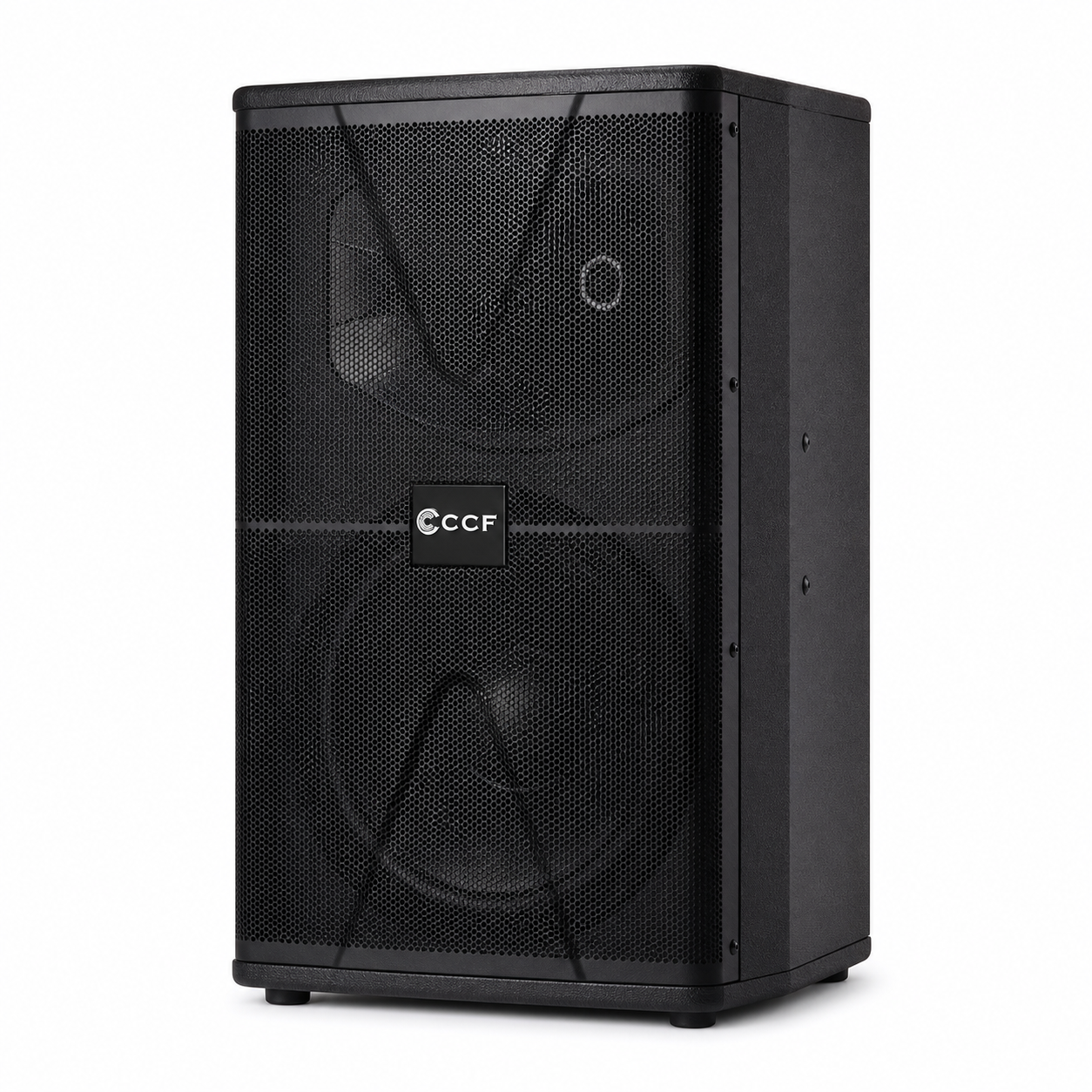 CCF 10/12 inch Crisp Sound Karaoke Speaker natural main image