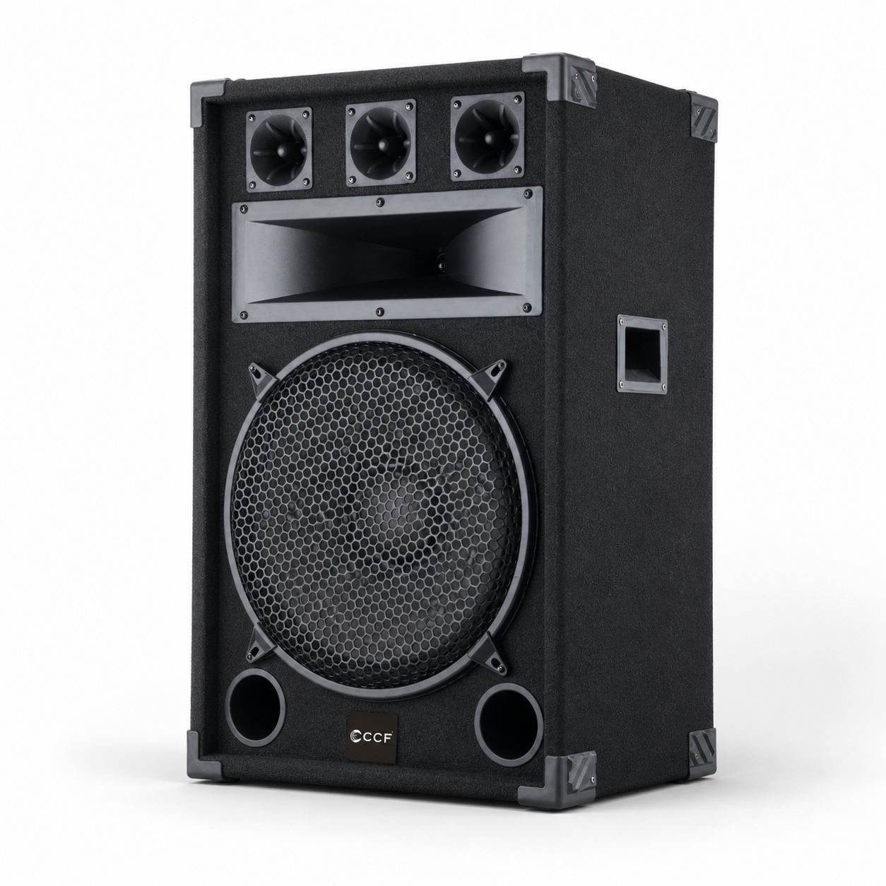 CCF 12/15 inch Horn Karaoke Speaker natural main image