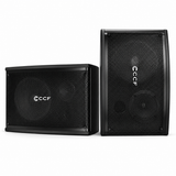 CCF 6.5 inch Passive Karaoke Speaker Pair natural main image