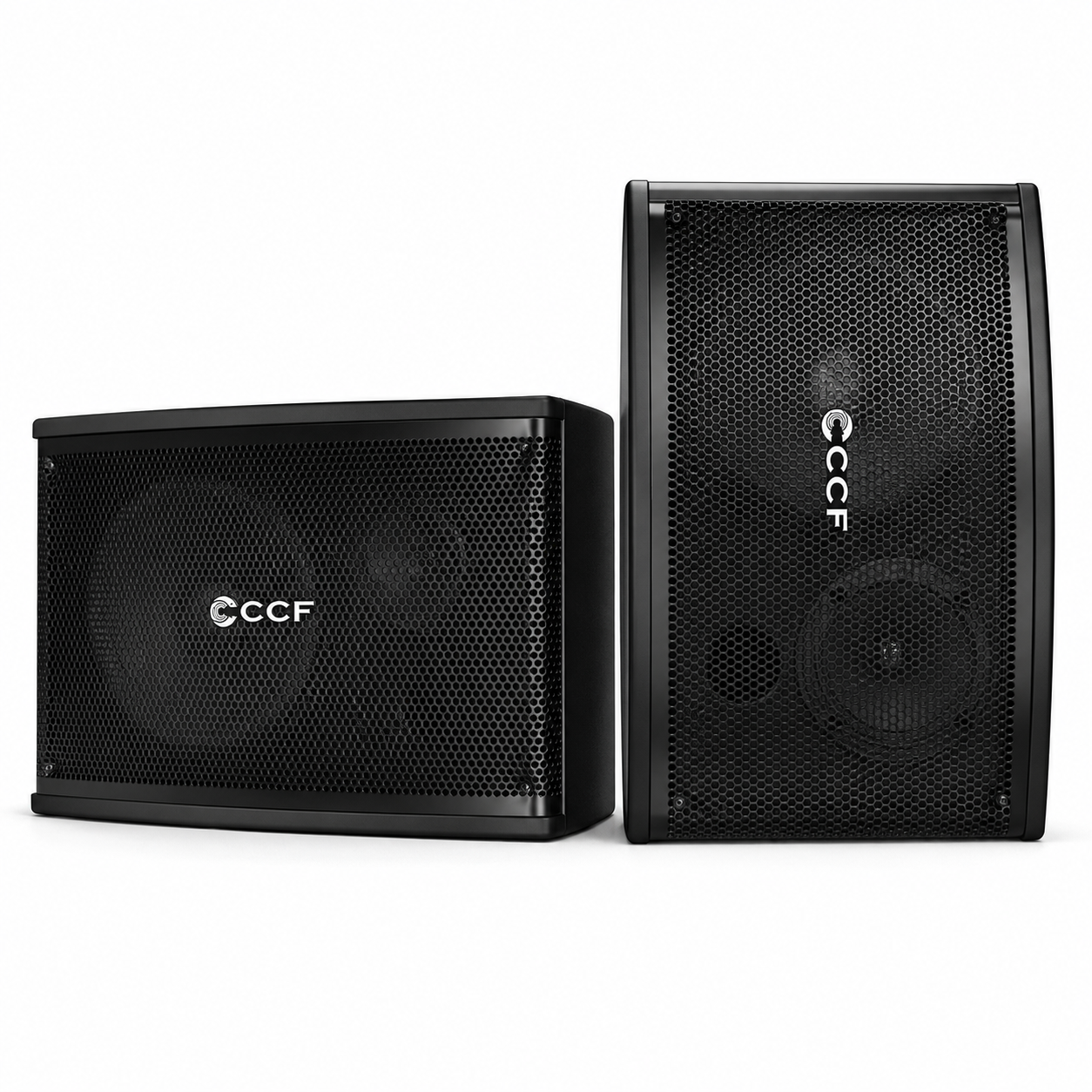 CCF 6.5 inch Passive Karaoke Speaker Pair natural main image