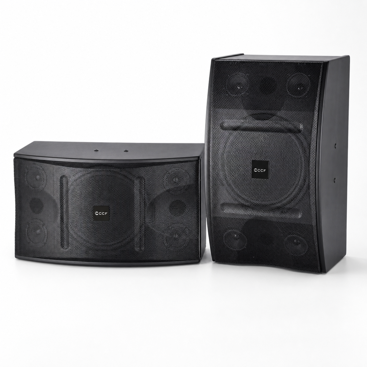 CCF 12 inch Passive Karaoke Speaker Pair natural main image