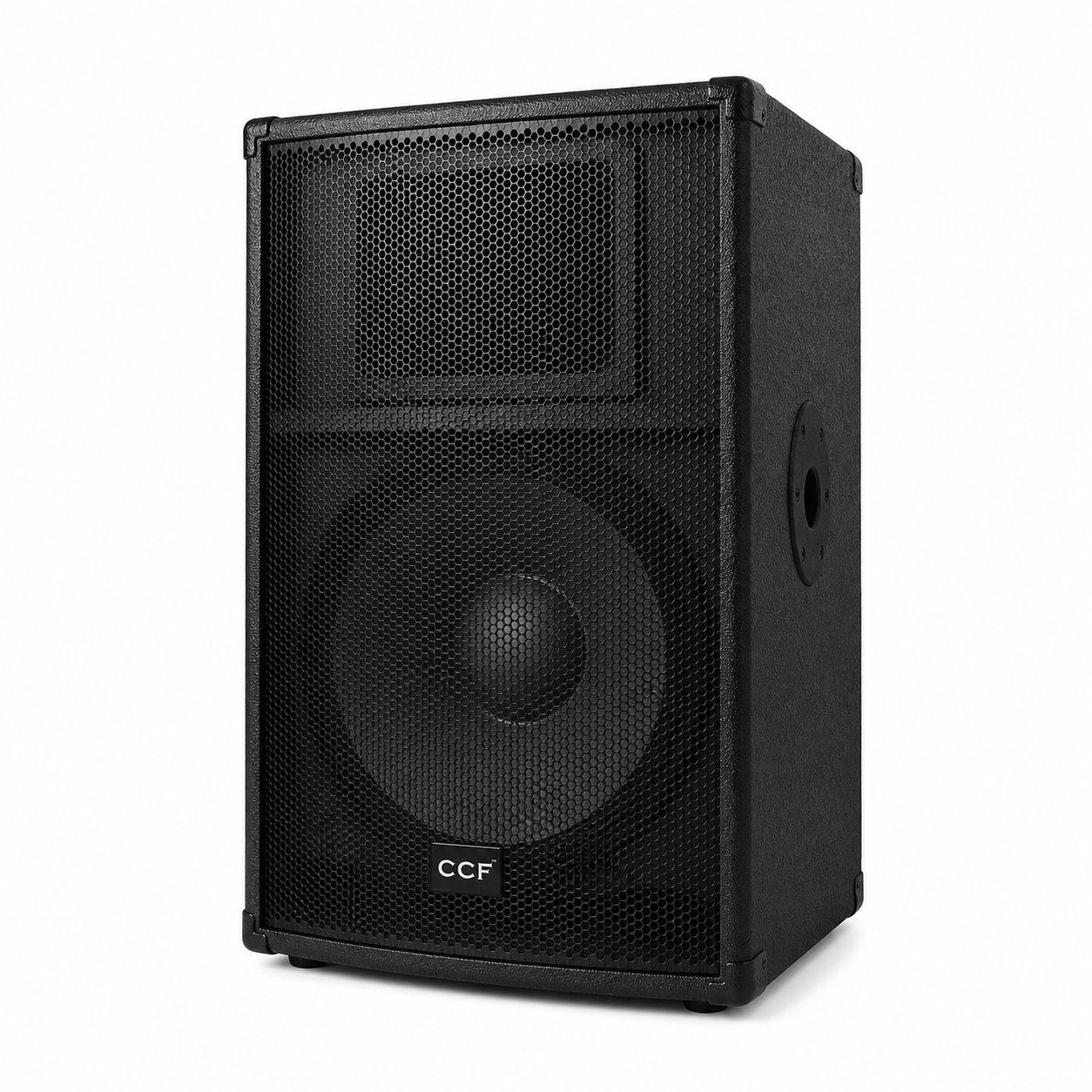 CCF 12/15 inch Passive Karaoke Speaker 1pc natural main image