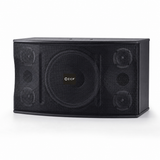 CCF 12 inch Passive Karaoke Speaker Pair natural gallery image 2