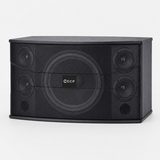CCF 10 inch Passive Karaoke Speaker Pair natural gallery image 2