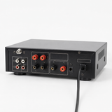 CCF 2 Channel Bluetooth Karaoke Amplifier natural gallery image 3