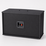 CCF 12 inch Passive Karaoke Speaker Pair natural gallery image 3