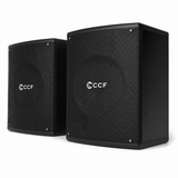 CCF 6.5 inch Passive Karaoke Speaker Pair natural gallery image 3