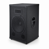 CCF 12/15 inch Passive Karaoke Speaker 1pc natural gallery image 3