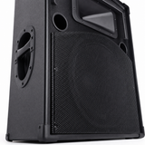 CCF 12/15 inch Passive Karaoke Speaker 1pc natural gallery image 4