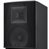 CCF 10/12 inch Crisp Sound Karaoke Speaker natural gallery image 4