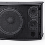 CCF 10 inch Passive Karaoke Speaker Pair natural gallery image 4