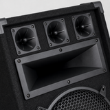 CCF 12/15 inch Horn Karaoke Speaker natural gallery image 4