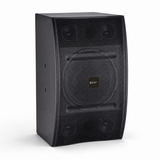 CCF 12 inch Passive Karaoke Speaker Pair natural gallery image 5