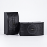 CCF 10 inch Passive Karaoke Speaker Pair natural gallery image 6
