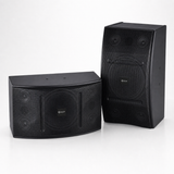 CCF 12 inch Passive Karaoke Speaker Pair natural gallery image 6