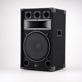 CCF 12/15 inch Horn Karaoke Speaker natural gallery image 6