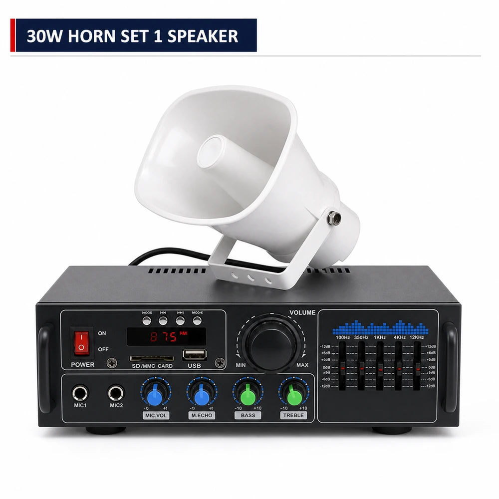 30W Horn Speaker Amplifier Set 1 Speaker-1