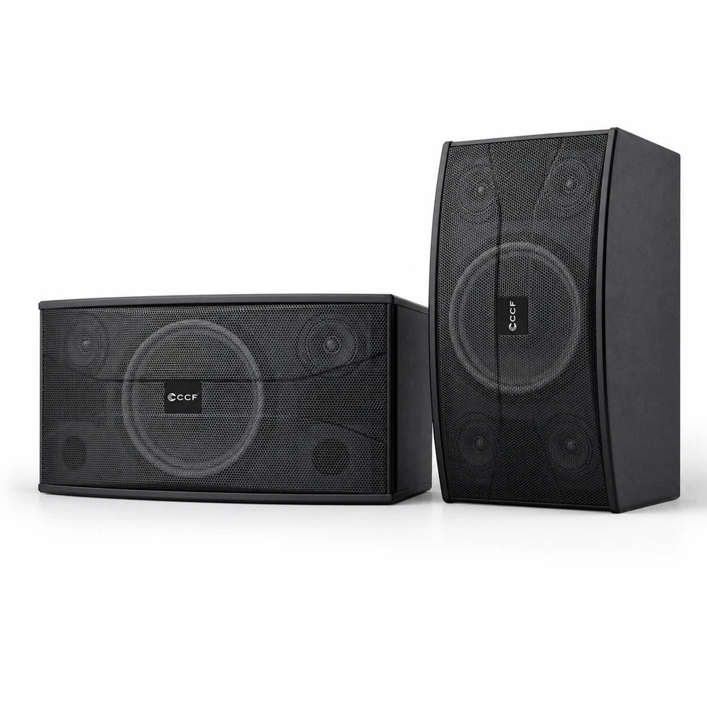 CCF 10 inch Passive Karaoke Speaker Pair original main image