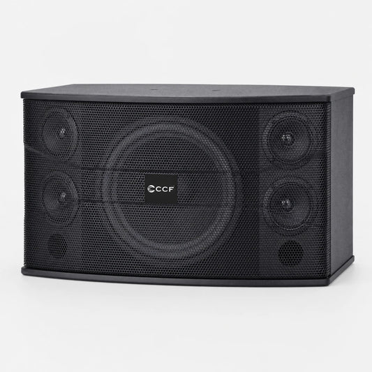 CCF 10 inch Passive Karaoke Speaker Pair original gallery image 2