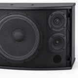 CCF 10 inch Passive Karaoke Speaker Pair original gallery image 4