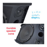 CCF 12 inch Passive Karaoke Speaker Pair prepared gallery image 5