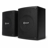 CCF Standard 6.5 inch Passive Karaoke Speaker Pair