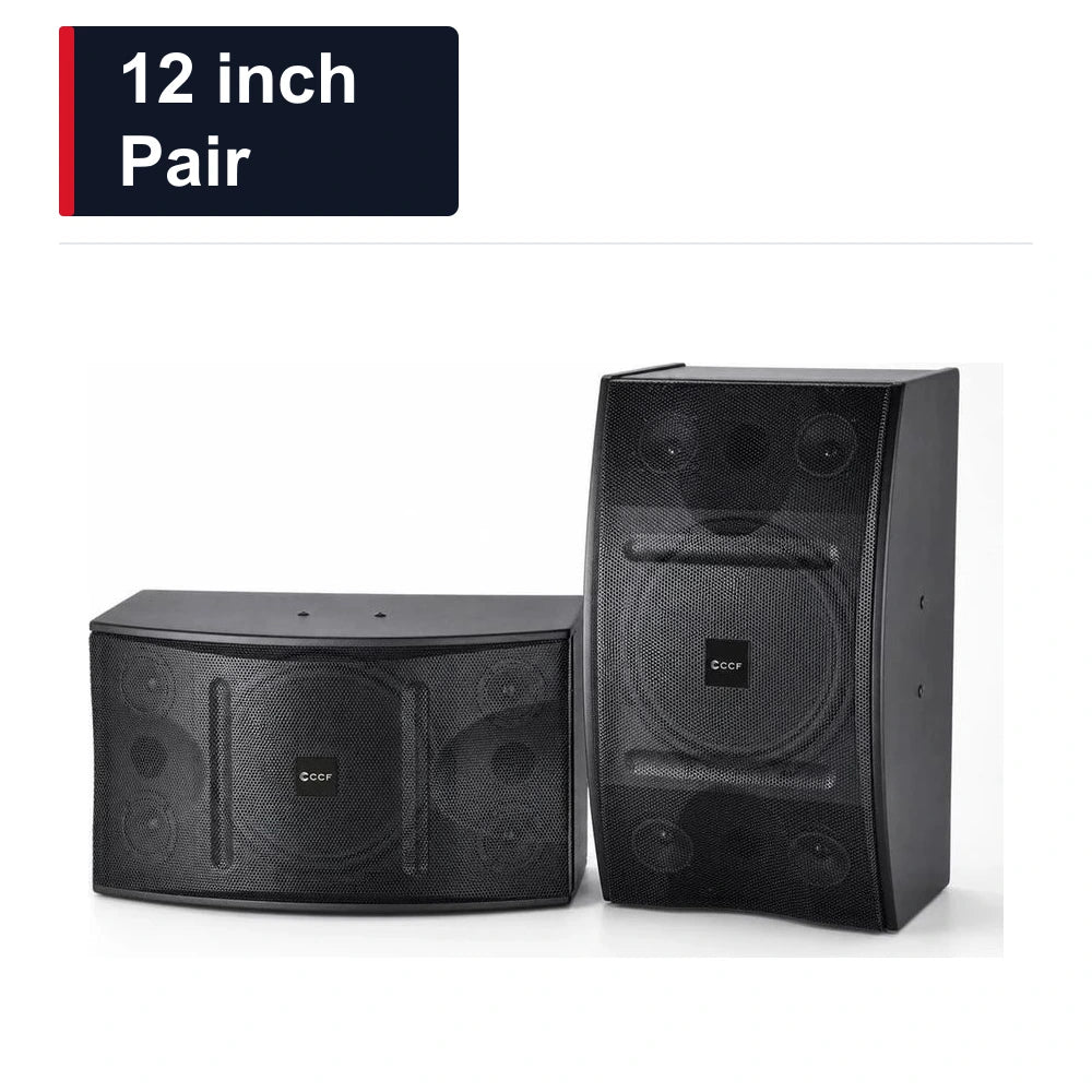 CCF 12 inch Passive Karaoke Speaker Pair-1