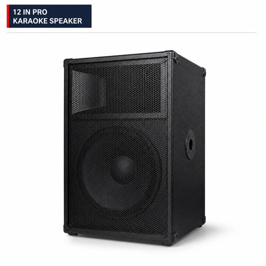 CCF 12 inch Professional Karaoke Speaker 1 Pack-1
