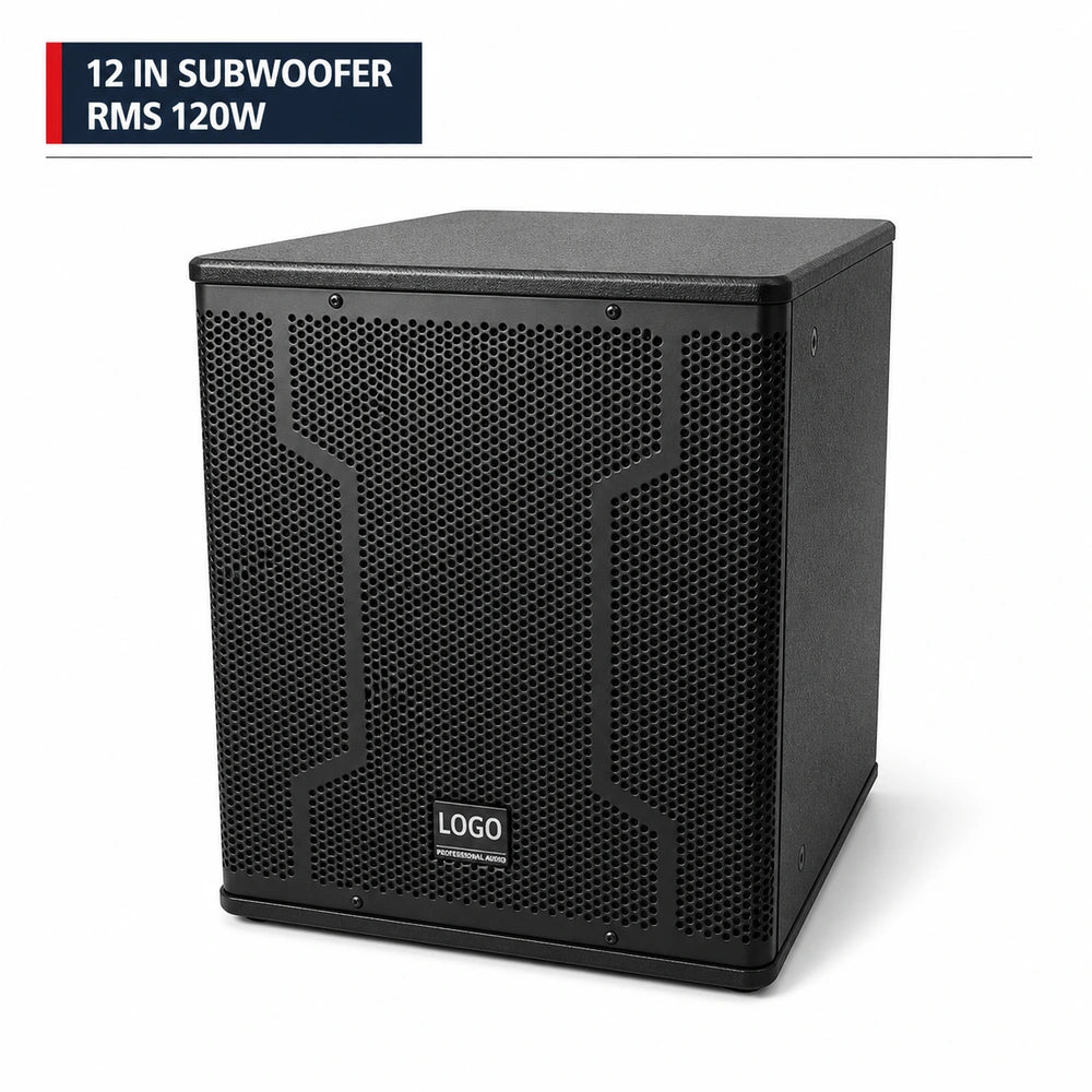 CCF 12 inch RMS 120W Passive Subwoofer-1