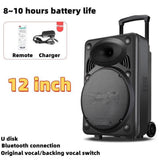 CCF 15 inch Portable Trolley Karaoke Speaker Bluetooth-2