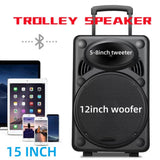 CCF 15 inch Portable Trolley Karaoke Speaker Bluetooth-3