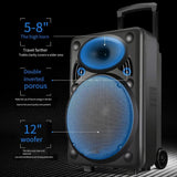 CCF 15 inch Portable Trolley Karaoke Speaker Bluetooth-4