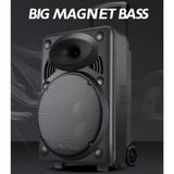 CCF 15 inch Portable Trolley Karaoke Speaker Bluetooth-8