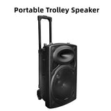 CCF 15 inch Portable Trolley Karaoke Speaker Bluetooth-9