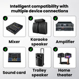 CCF 2.4G XLR Wireless Microphone Converter 1 to 2-10