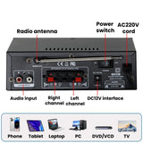 CCF 298 PRO 2 Channel Mini Bluetooth Karaoke Amplifier-5