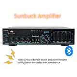 CCF 6.5 inch 2CH Karaoke Speaker Amplifier Set with Microphones-10
