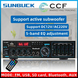 CCF 6.5 inch 2CH Karaoke Speaker Amplifier Set with Microphones-4