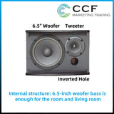 CCF 6.5 inch 2CH Karaoke Speaker Amplifier Set with Microphones-7