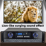 CCF 6000W 4 Channel Optical Coaxial Karaoke Power Amplifier-8