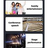 CCF VHF Wireless Dual Handheld Microphone Gold-11