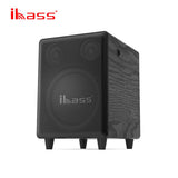 CCF iBass Style 10 inch Active Subwoofer Speaker Bluetooth Optical Coaxial ARC Black-10