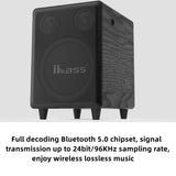 CCF iBass Style 10 inch Active Subwoofer Speaker Bluetooth Optical Coaxial ARC Black-8