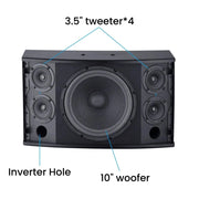 CCF 10 inch Passive Karaoke Speaker Pair-3