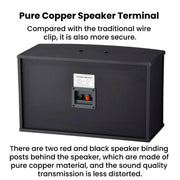 CCF 10 inch Passive Karaoke Speaker Pair-4