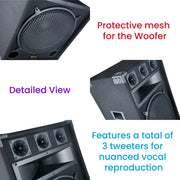 CCF 12 inch Horn Karaoke Speakers 2 Pack-8