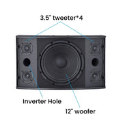 CCF 12 inch Passive Karaoke Speaker Pair-3