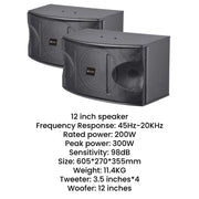 CCF 12 inch Passive Karaoke Speaker Pair-5