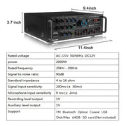 CCF 2 Channel Bluetooth Home Karaoke Amplifier-9