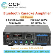 CCF 2 Channel Bluetooth Karaoke Amp With Display-4